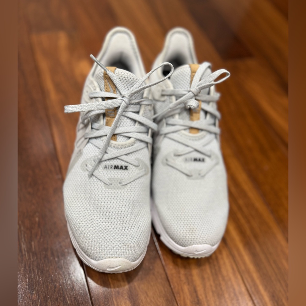 Nike Air Max Light Gray Sneakers